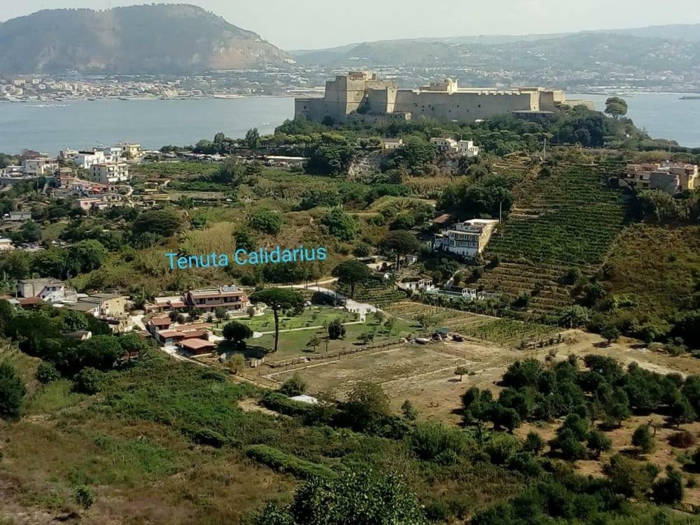 Tenuta Calidarius Baia  Exterior photo